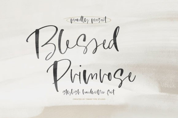 Elevate Your Shop with the Blessed Primrose Typeface